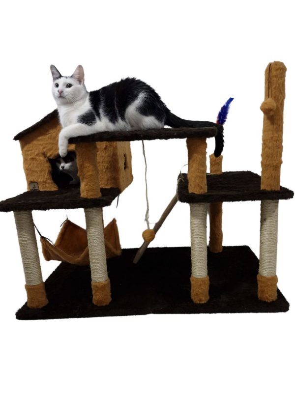 Arranhador Casa Playground para Gatos - Marrom com Caramelo