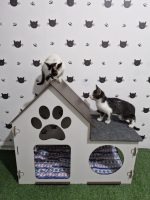 Casinha De Gato Ou Cachorro De Pequeno Porte Em Mdf Com Almofadas 08